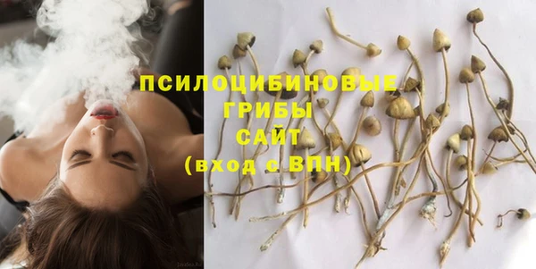 стаф Белокуриха